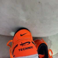 دوجفت کفش پسرانه یکی ورزشی ودومی تابستانی|کیف، کفش، کمربند|مراغه, |دیوار