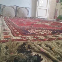 فرش دستباف قدیمی|فرش|شیراز, احمدآباد|دیوار