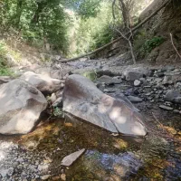 تور تفریحی گردشی