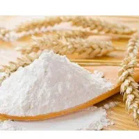 آرد گندم