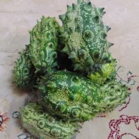 فروش کیوانا (خیار آفریقایی، خربزه خار دار)