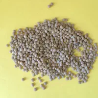 عدس /حبوبات /عدس ساسکن/عدس کانادا|خوردنی و آشامیدنی|تهران, گمرک|دیوار