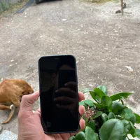 Iphone 12 pro max 256|موبایل|رشت, پل تالشان|دیوار