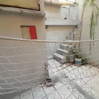 تور حرفه ای والیبال