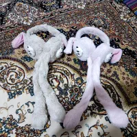 گوشگیر بچگانه