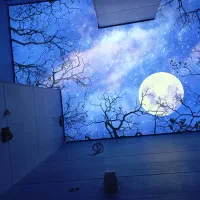 سقف کشسان سقف کاذب