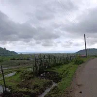 زمین 300 متر مسکونی کوهپایه جنگلی در شهر لیسار