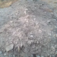 فوری فوری کود گوسفند ۶سال پوسیده