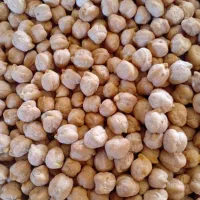 نخود درشت|خوردنی و آشامیدنی|بزینه رود, |دیوار