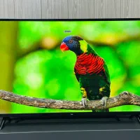 تلویزیون ۴۹ اینچ TCL مدل 49D3000