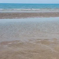 سرویس پذیرفته میشود