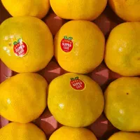 یک سبد نارنگی