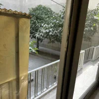 ۲۷۸ متر ملک کلنگی واقع در منطقه ۱۱|فروش زمین و ملک کلنگی|تهران, امیر بهادر|دیوار