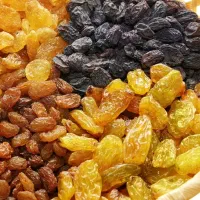 کشمش ارگانیک تاکستان