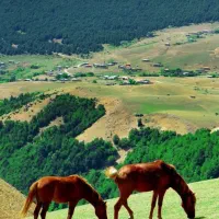 همسفر طبعیت گرد|فعالیت داوطلبانه|رشت, کوی مهر|دیوار