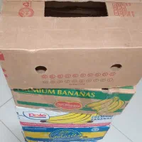 کارتن موزی و بزرگ مناسب اسباب کشی|ابزارآلات|مشهد, حسابی جنوبی (شهرک غرب)|دیوار