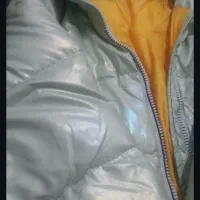 کاپشن|لباس|قائمشهر, |دیوار