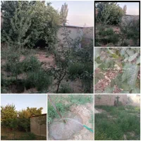 خانه ویلایی روستای قربلاغ ۳۰کیلو زنجان|فروش خانه و ویلا|باغ حلی, |دیوار