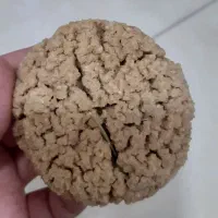 ترخینه|خوردنی و آشامیدنی|هرسین, |دیوار