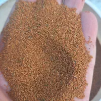 خاکشیرامسال محلی شیرین