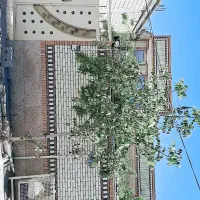 ساختمان فروشی نوساز شیک شنارژ بندی
