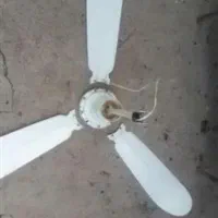 پنکه سقفی اصل آمریکایی قیمت توافقی