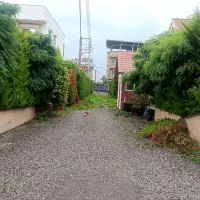 باغبانی و باغچه سازی|خدمات باغبانی و درختکاری|آمل, |دیوار