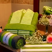 حوله سرای شاهین