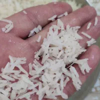 برنج شمال|خوردنی و آشامیدنی|بروجن, |دیوار