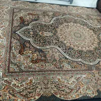 یک عدد قالی|فرش|چناران, |دیوار