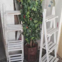 وسایل منزل|گل و گیاه طبیعی|جهرم, |دیوار