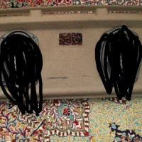 یک جفت باند پایونیر