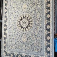 کلکسیون بهترین فرش های کلاسیک|فرش|شیراز, تندگویان|دیوار