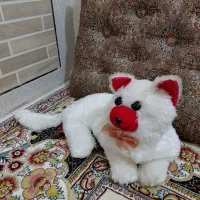 تعدادی عروسک|اسباب‌‌بازی|کهنوج, |دیوار