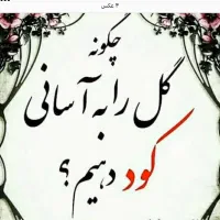 قرص کود 120 عددی کاملاً ارگانیک و اصل|گل و گیاه طبیعی|تهران, استخر|دیوار