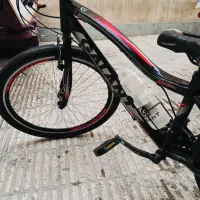 دوچرخه گالانت ۲۴|دوچرخه، اسکیت، اسکوتر|تهران, کوثر|دیوار