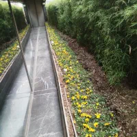 خدمات‌باغبانی،باغچه‌کاری،تعویض‌خاک‌گلدان،سم پاشی