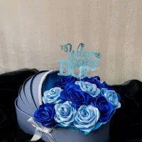 باکس های نوزادی