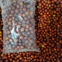 عناب تازه