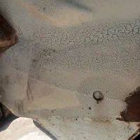 پیکان مدل ۸۳ دو گانه|خودرو سواری و وانت|فیرورق, |دیوار