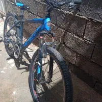 دوچرخه 26 المپیا|دوچرخه، اسکیت، اسکوتر|پاوه, |دیوار