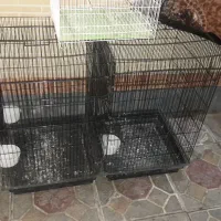 قفس کاسکو پرنده|لوازم جانبی حیوانات|آذرشهر, |دیوار