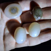 نگین عقیق نباتی طبیعی