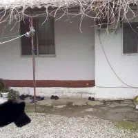 ویلا-روستایی-سند-دار-200متری