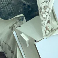 یکجفت عروس هلندی مولد|پرنده|قم, مسجد امام حسن|دیوار