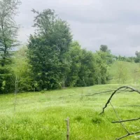 زمین مسکونی|فروش زمین و ملک کلنگی|بره‌سر, |دیوار