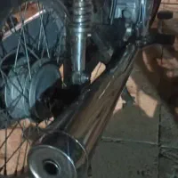 پرنده|پرنده|سوسنگرد, |دیوار