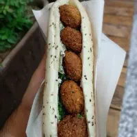 دنبال کار ساندویچیم