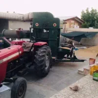 گندم بزری کوهدشت|عمده‌فروشی|کوهدشت, |دیوار