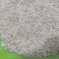 برنج چمپا یاسوج|عمدهفروشی|بندر گناوه, |دیوار